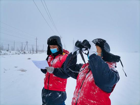 2月16日，国网沙湾市供电公司党员服务队队员冒雪对10千伏旋大线开展巡视测温。邓博文 摄
