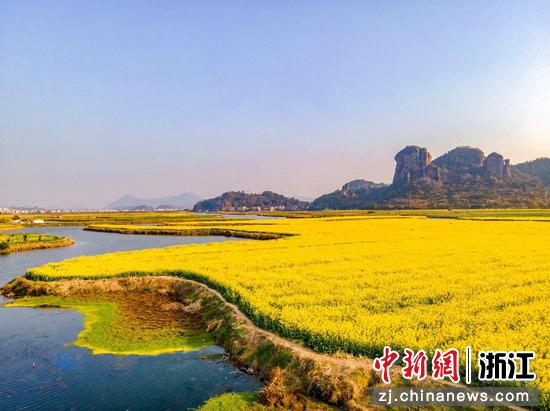 桃江十三渚千亩油菜花 陈永胜 摄在众多乡贤的共同努力下,桃渚镇用了