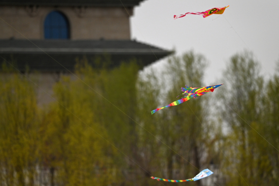 各种风筝在新疆库尔勒市鸿雁河广场上空飞舞。
