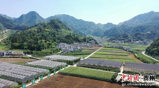 贵州仁怀：“高粱+蔬菜”技术培训 提升农民致富力