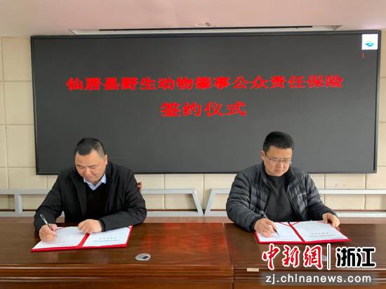 签约仪式 麻仙伟供图