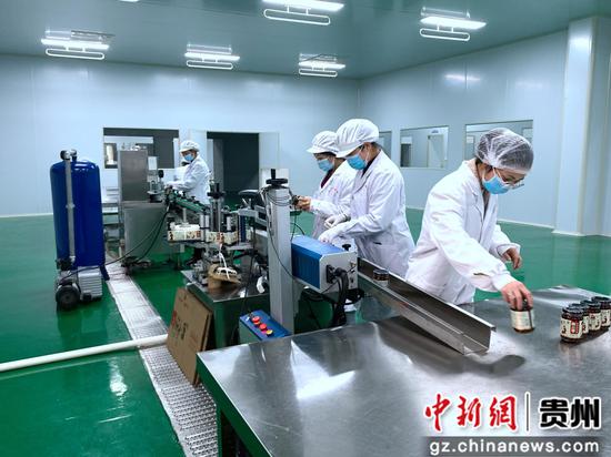 贵州毕节七星关：加快企业技术改造升级 促进新型工业化发展