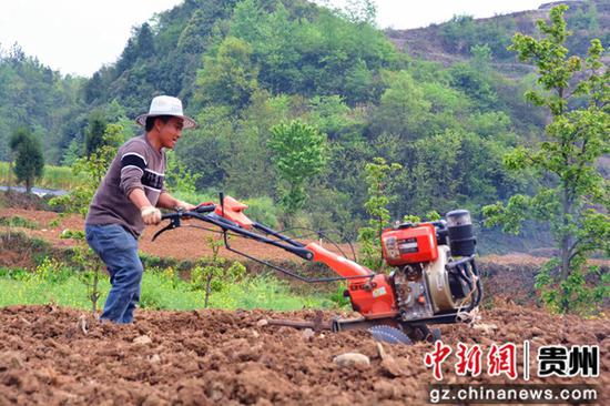 贵州普安：春耕烟农种植忙