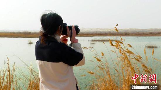 新疆博斯騰湖迎來上萬只北歸候鳥