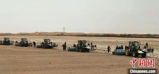 智慧農機顯身手 新疆兵團棉花春播顯“科技范”