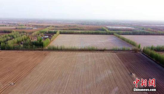 航拍“中國長絨棉之鄉” 新疆阿瓦提百萬畝棉花開播