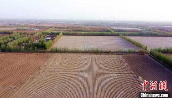 航拍“中國長絨棉之鄉” 新疆阿瓦提131萬畝棉花開播