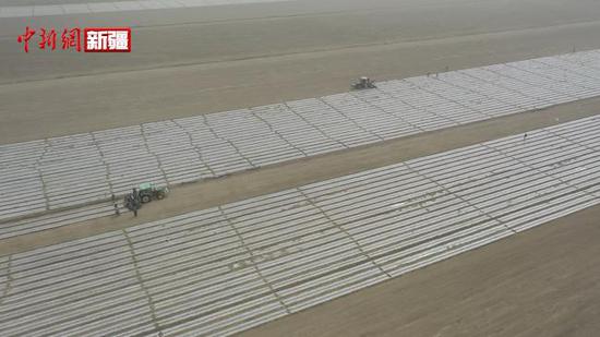 新疆兵團第二師鐵門關市：72.4萬畝棉花開始大面積播種
