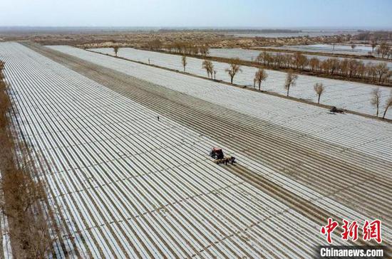 新疆兵团第二师三十四团棉花播种现场。　新疆兵团第二师铁门关市融媒体中心供图