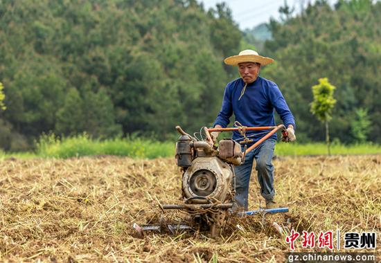 4月9日，村民在贵州省黔西市协和镇杨柳社区翻耕土地。