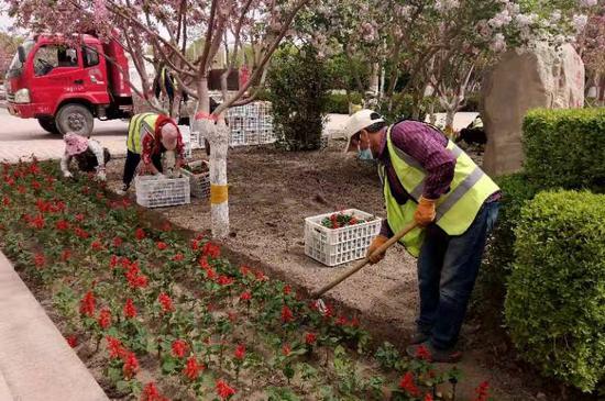 图为4月12日，园林工人正在街头定植鲜花。陈剑飞摄