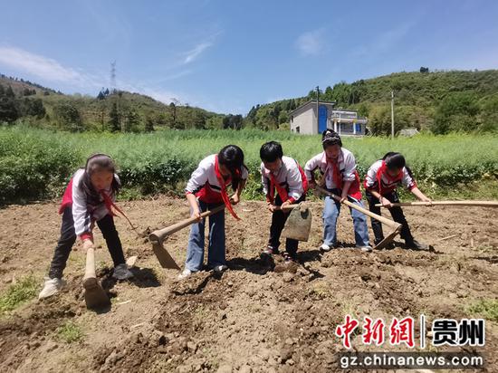 春耕时节，贵州山区学生体验劳动快乐。