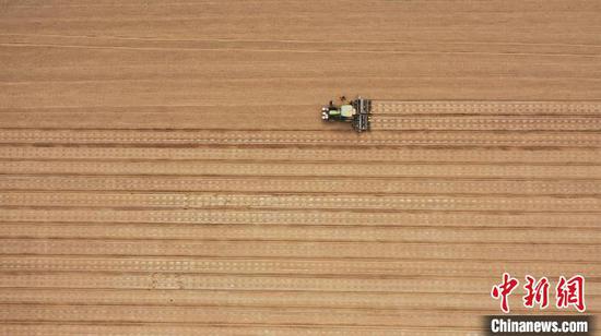 大型无人驾驶棉花播种机在万亩棉田来回作业播种。　胡国凯 摄