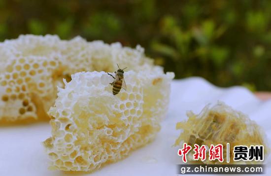 色泽诱人的蜂蜜