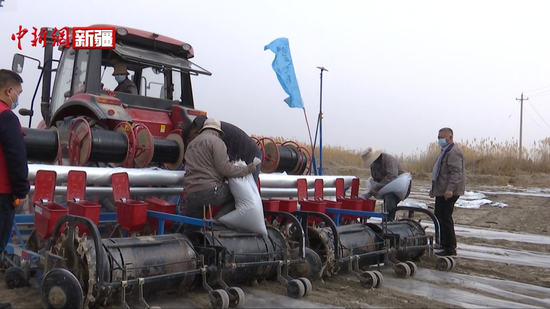 新疆南部棉花播种工作已进入高峰期