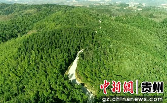 贵州省清镇市森林覆盖率五年增长6个百分点