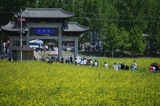 图为游客在中草药文化园内游玩。 中新社记者 佟郁 摄