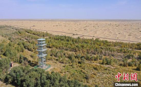 新疆兵团通过持续造林、荒漠治理等有效措施，在沙漠边缘建起绿色生态带。　刘春林 摄