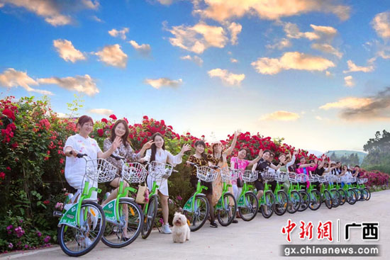 桂林市七星區“花樣經濟”催生鄉村旅游熱