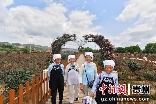 5月8日，毛南族老年妇女在贵州黔南布依族苗族自治州好花红镇好花红玫瑰产业园内游览赏花。