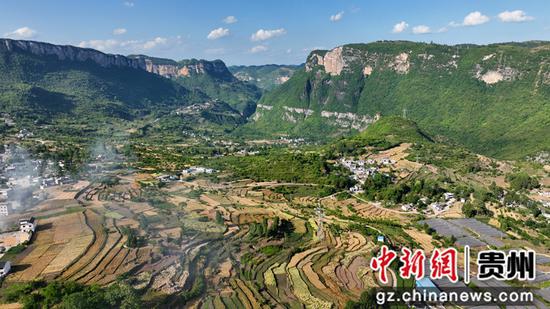 5月10日，贵州省大方县长石镇杨柳社区成熟的连片麦田和美丽乡村（无人机图片）。周训贵 摄