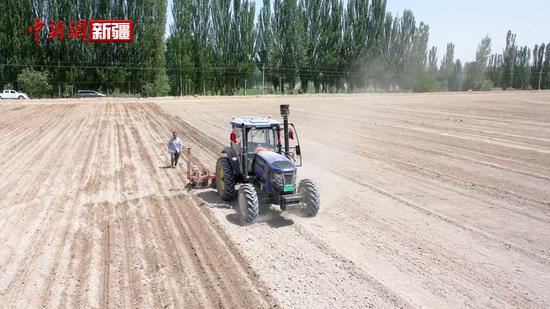 新疆乌什县12万亩玉米实现机械化精量播种