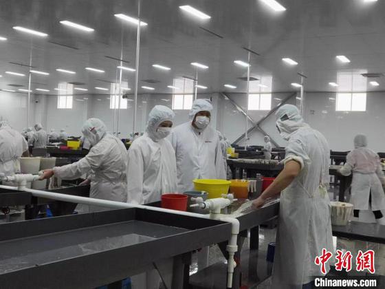 王潇与工人在生产车间　静海区融媒体中心供图