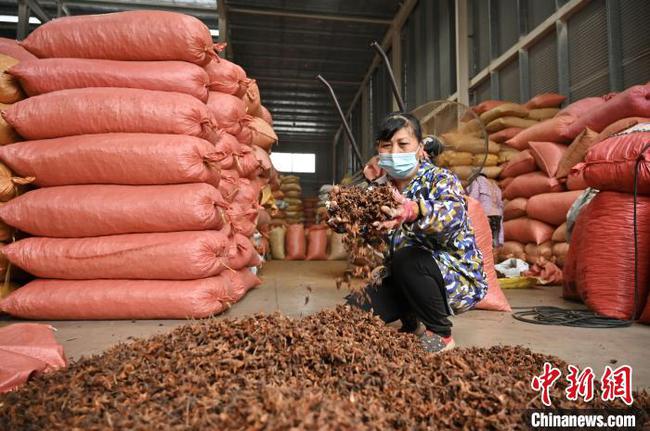 探訪中國最大香料集散地：打造“南國香都” “香”飄海外