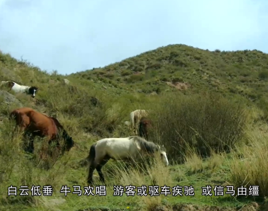 新疆溫宿：春日帕克勒克草原壯美如畫
