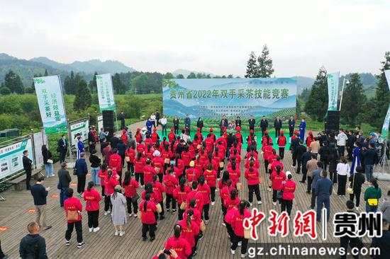 2022年贵州省双手采茶技能竞赛决赛在湄潭县举行