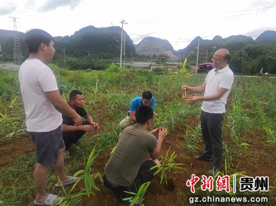 资料图  安顺学院农业专家为群众提供培训。安顺学院供图