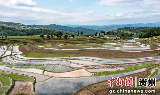 贵州省黔西市锦星乡洪湖村梯田景色。