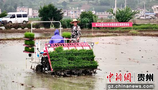 惠水县涟江街道举行2022年水稻机械化插秧现场会。龙安海 摄