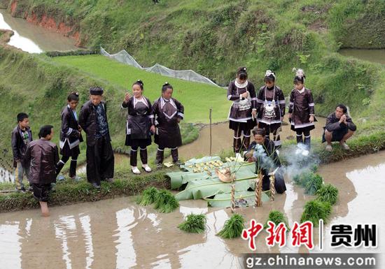贵州榕江：牛耕文化助推乡村农旅发展