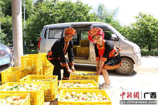 村民正在将摘好的油桃装车。文永红  摄