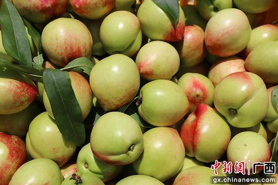 大发瑶族乡油桃喜获丰收。