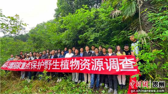 贵州省启动新增国家重点保护野生植物调查评估