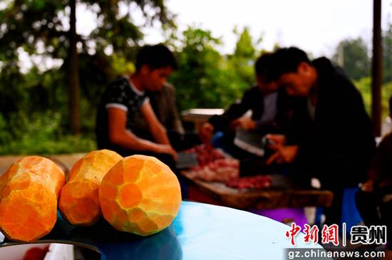 近日，盛产西瓜的贵州省榕江县栽麻镇高岜村举行了开秧仪式以及吃瓜节、烧瓜宴等活动，展示传统农耕文化。