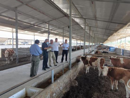 阿克苏市推进农区畜牧养殖标准化规模化 助力乡村振兴