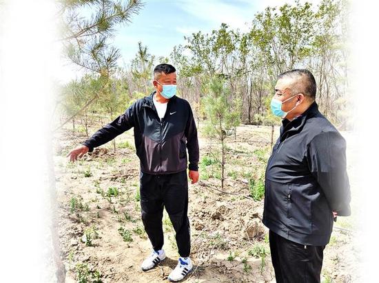 　　5月16日，余磊带着客户在苗木基地挑选苗木。 阿依加玛丽·列提甫 摄

