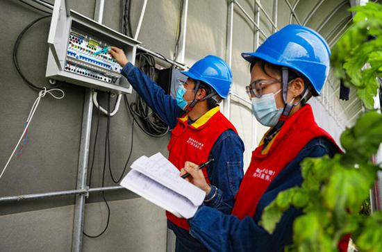 党员服务队队员在新疆盛世华强农来科技有限公司的西红柿大棚检查供电线路、配电设施。