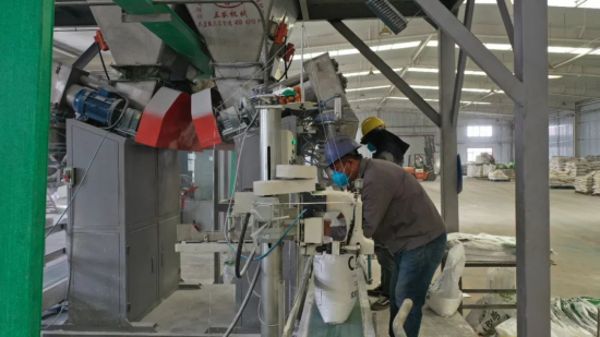 在尉犁县农业科技园内的新疆绿洲大洋生物科技有限公司，工人正在忙订单生产。鲁红光 摄