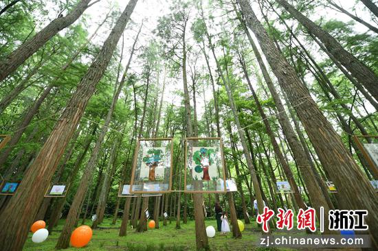 大量的“科学之树”画作在杭州植物园水杉林间展出。王刚 摄