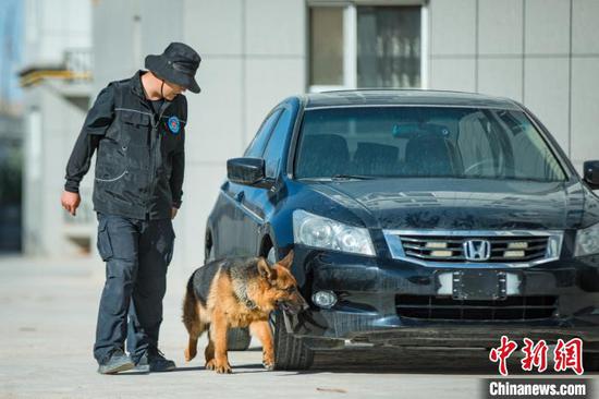 新疆帶犬民警與“無言戰友”的端午節