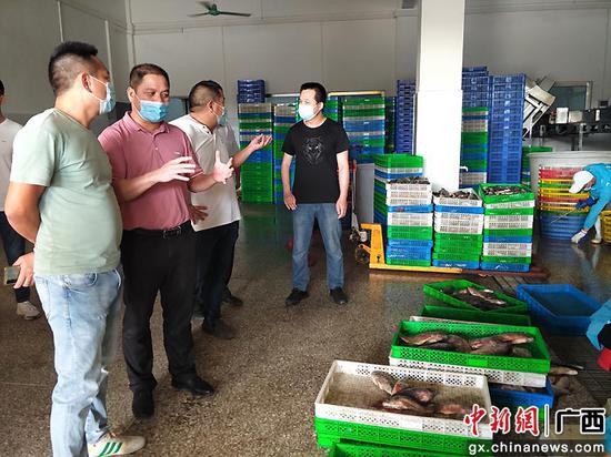 金秀县农业农村局一行到广东忠成农业发展有限公司考察罗非鱼加工产业。邹玉芳  摄