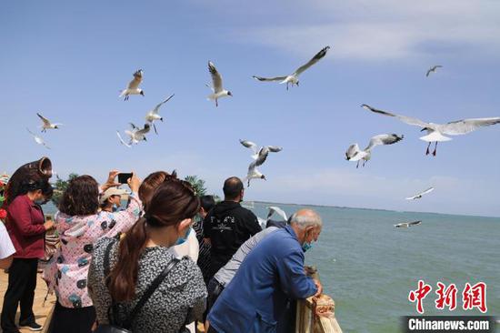 新疆博湖：“粽”享端午假日濃 文旅盛宴“鮮”味重