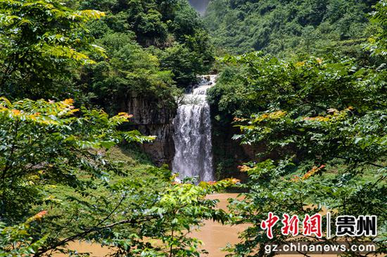 2022年6月4日拍摄的乌江一级支流贵州省黔西市境内的野纪河两岸崖壁飞瀑。