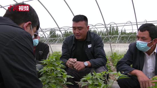 【乡村振兴】新疆伽师县：“订单农业”让农户种植底气更足