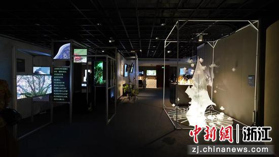 展览现场。 中国美术学院 提供