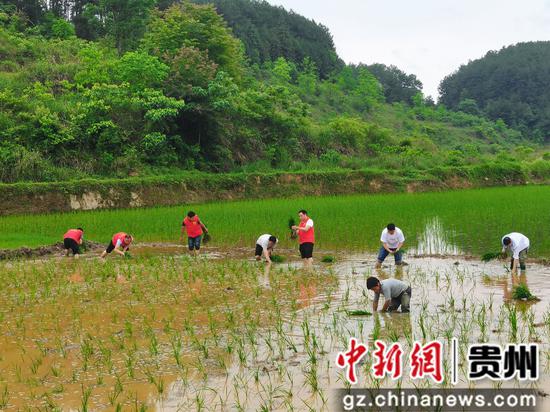 贵州思南香坝镇：志愿服务助农耕 党员青年在行动